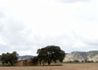 El Plañeron   R.Eveleens